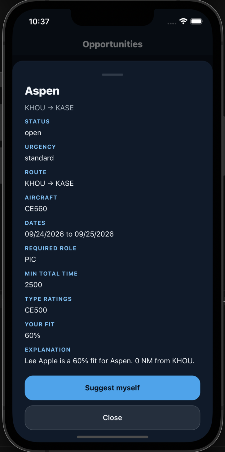Pilot profile